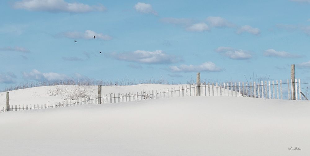 White Sandy Shore art print by Lori Deiter for $57.95 CAD