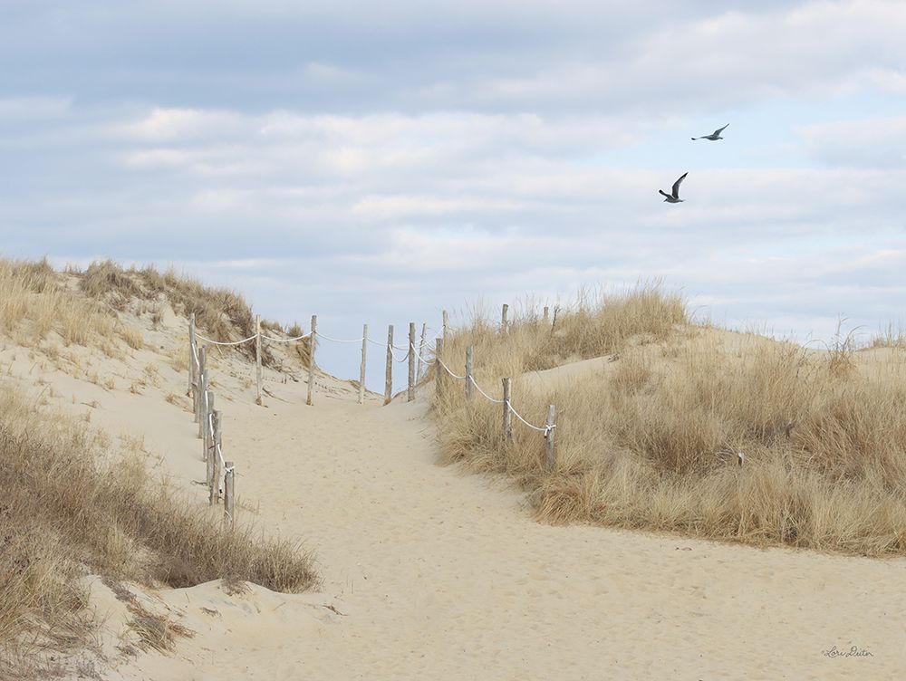 Fenwick Island art print by Lori Deiter for $57.95 CAD