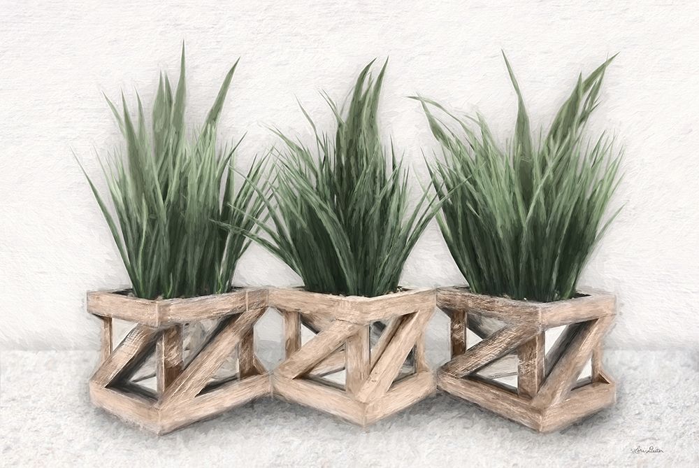 Planter Trio art print by Lori Deiter for $57.95 CAD
