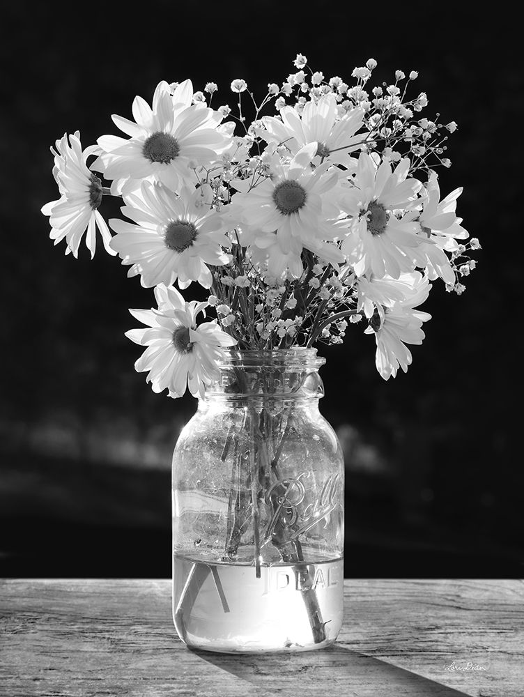 Morning Daisies II art print by Lori Deiter for $57.95 CAD