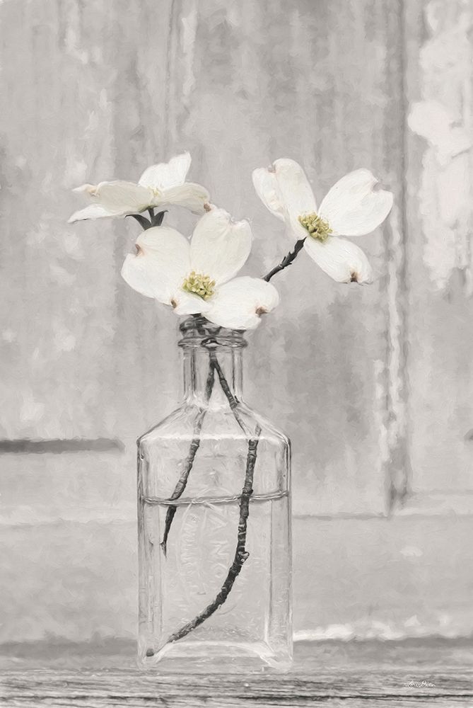 Dogwood Blossoms art print by Lori Deiter for $57.95 CAD