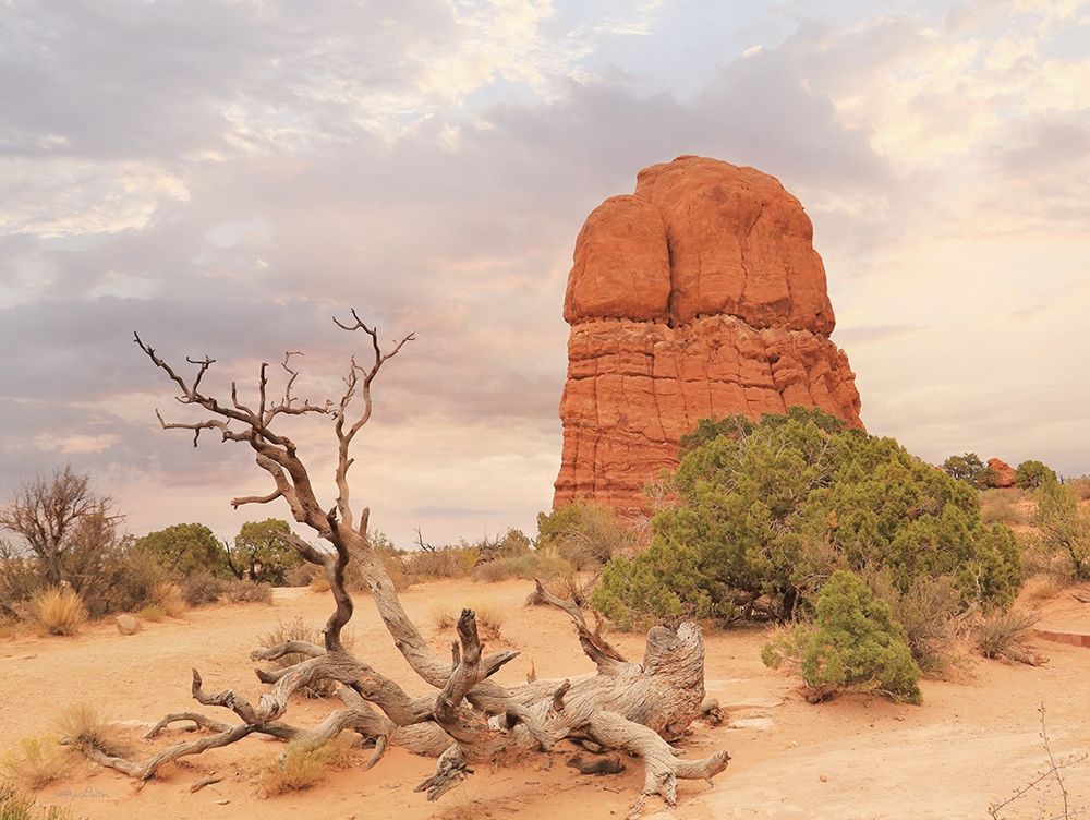 Dusty Desert I art print by Lori Deiter for $57.95 CAD