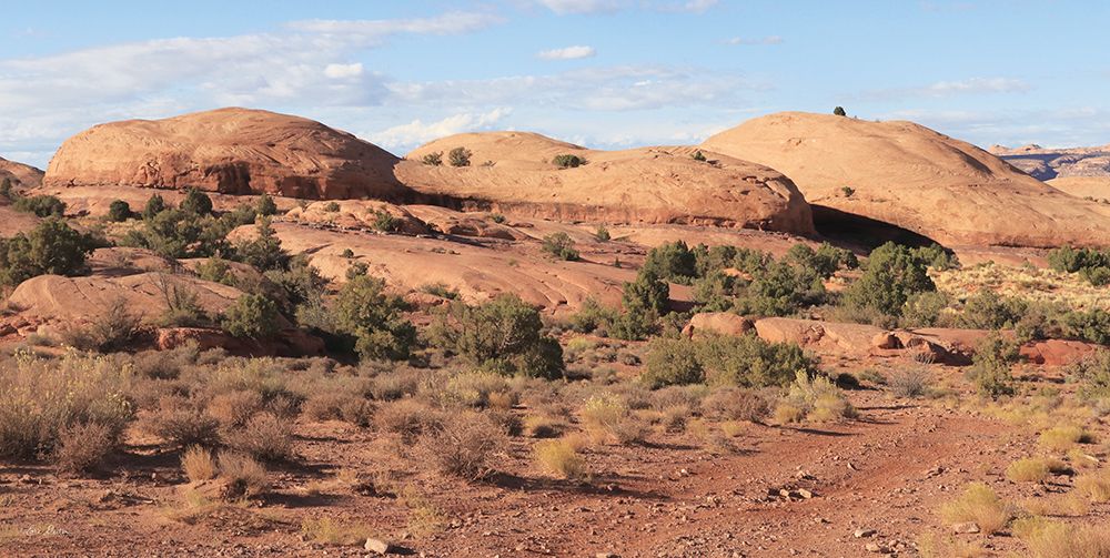 Moab Sand Flats I art print by Lori Deiter for $57.95 CAD