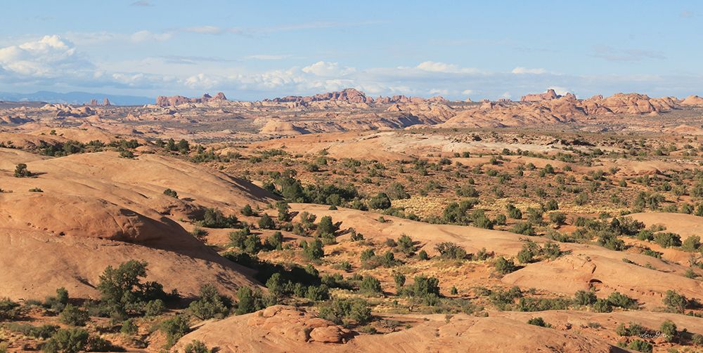 Moab Sand Flats II art print by Lori Deiter for $57.95 CAD
