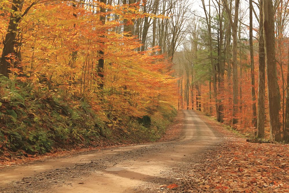 Fall Beauty I art print by Lori Deiter for $57.95 CAD