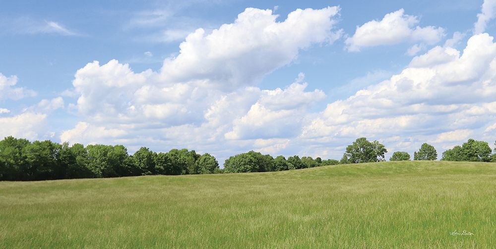 Summer Fields art print by Lori Deiter for $57.95 CAD