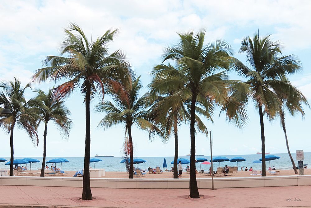 Florida Palms art print by Lori Deiter for $57.95 CAD