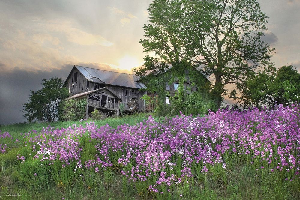 Country Living art print by Lori Deiter for $57.95 CAD