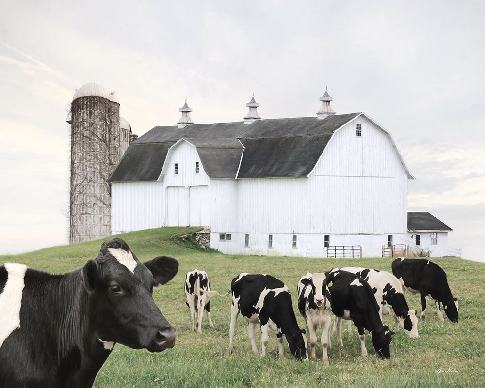 Cow Gathering art print by Lori Deiter for $57.95 CAD