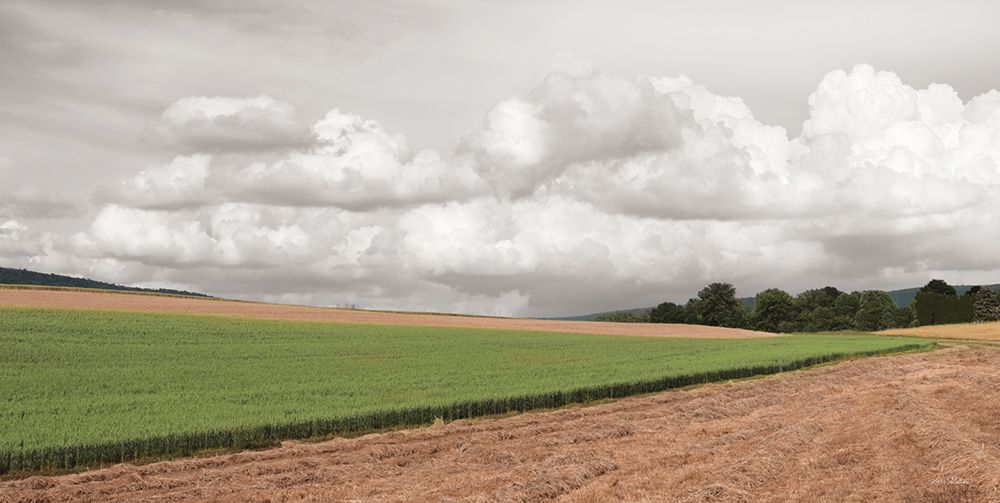 Country Storm Clouds art print by Lori Deiter for $57.95 CAD