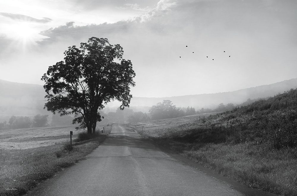 Morning Haze I art print by Lori Deiter for $57.95 CAD