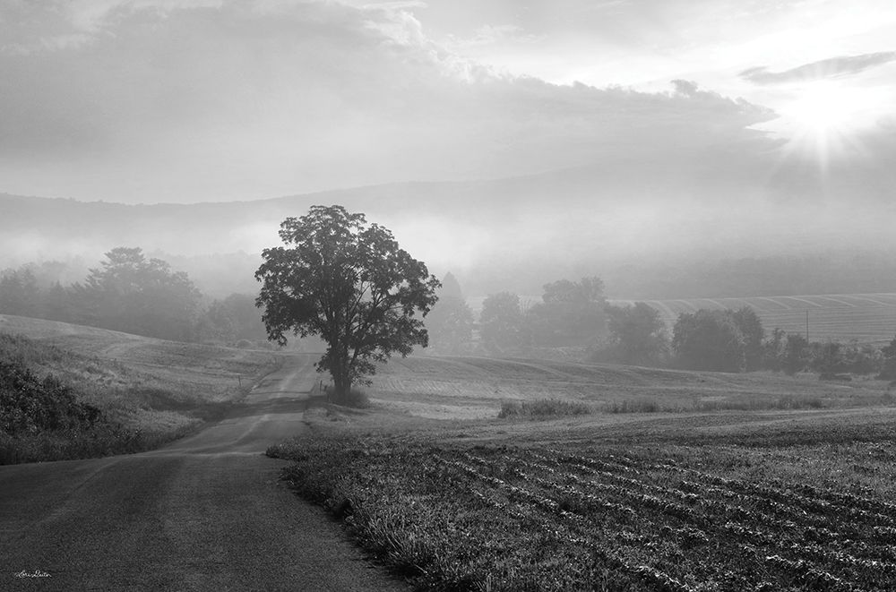 Morning Haze II art print by Lori Deiter for $57.95 CAD