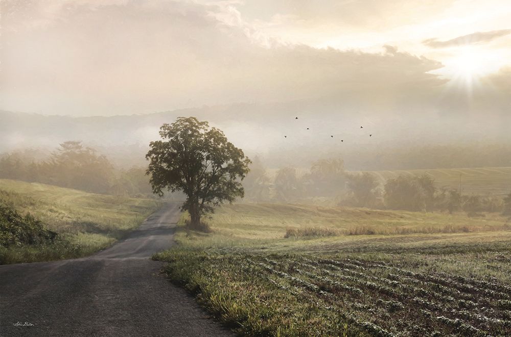 Foggy Country Road II art print by Lori Deiter for $57.95 CAD