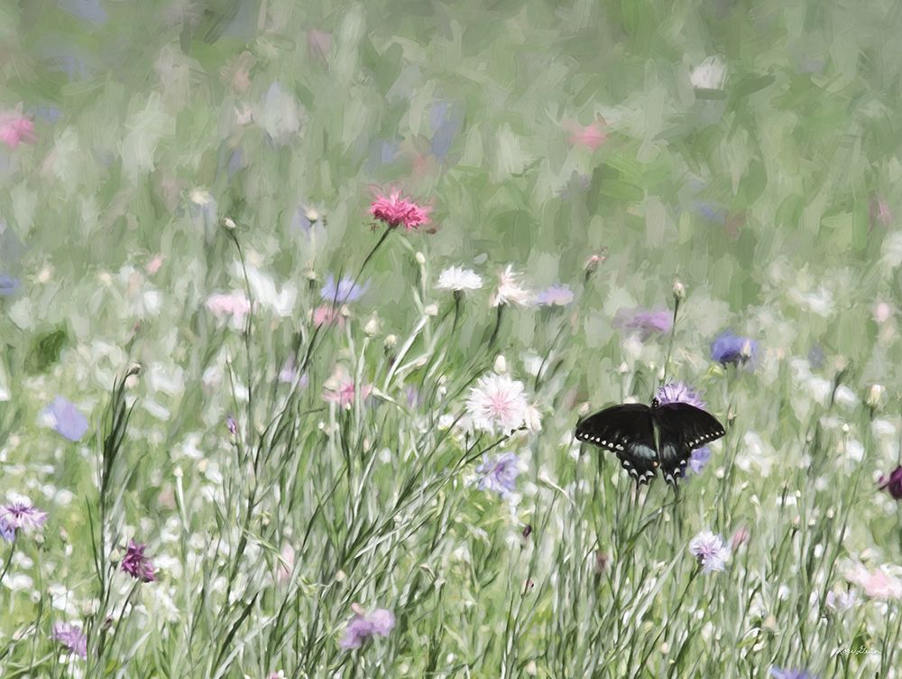 Butterfly Beauty art print by Lori Deiter for $57.95 CAD