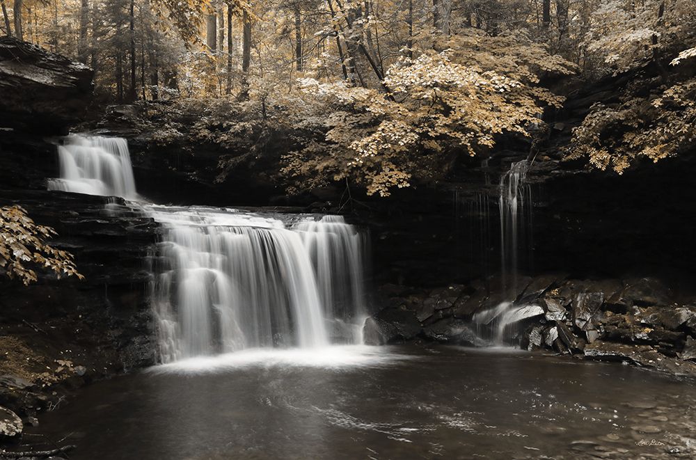 Golden Waterfall I art print by Lori Deiter for $57.95 CAD
