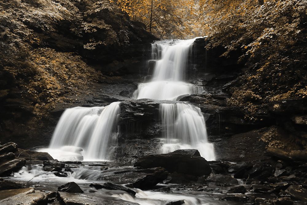 Golden Waterfall II art print by Lori Deiter for $57.95 CAD