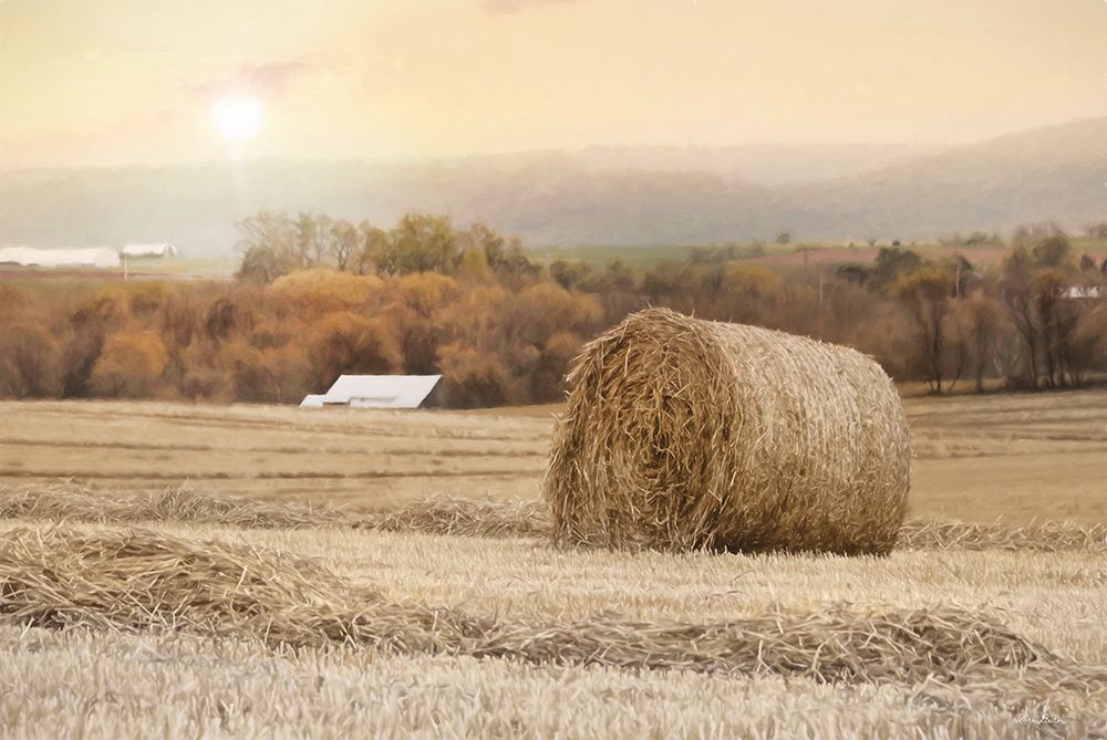 Golden Country Sunrise art print by Lori Deiter for $57.95 CAD