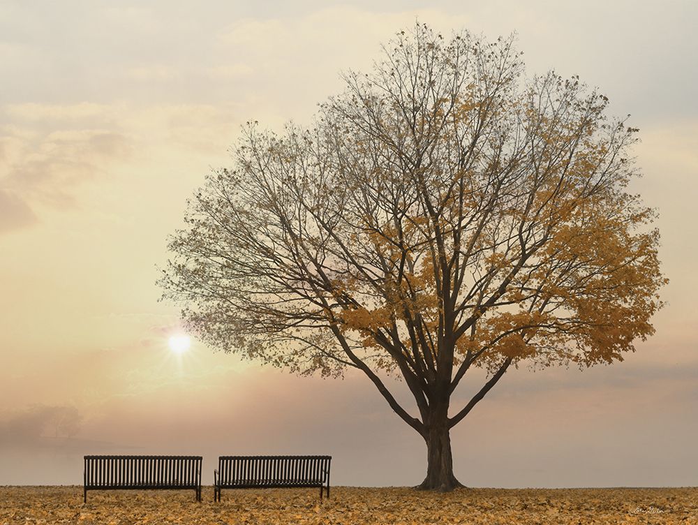 Golden Riverfront Sunrise art print by Lori Deiter for $57.95 CAD