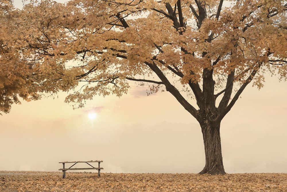 Perfect Picnic Spot art print by Lori Deiter for $57.95 CAD