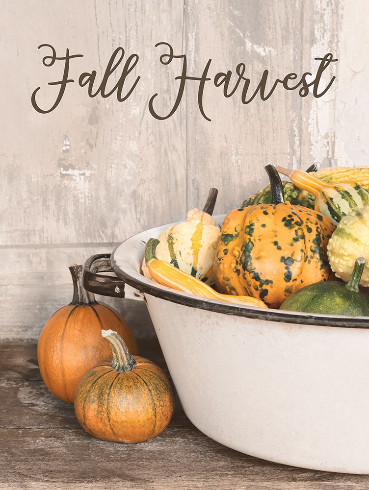 Fall Harvest art print by Lori Deiter for $57.95 CAD