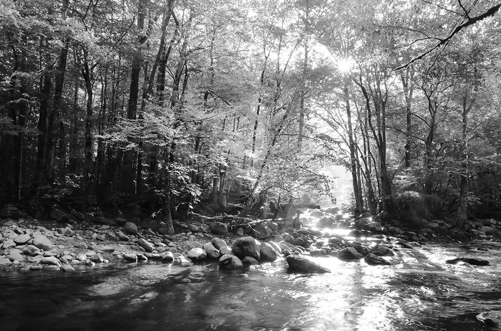 Little Pigeon River II art print by Lori Deiter for $57.95 CAD