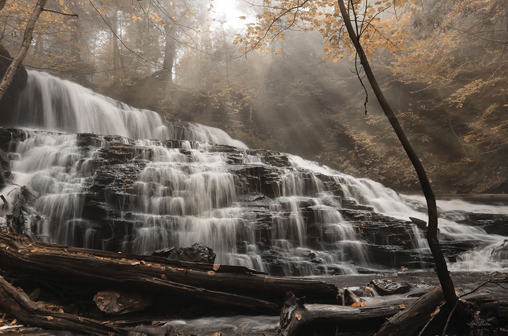 Mohawk Rays of Light art print by Lori Deiter for $57.95 CAD