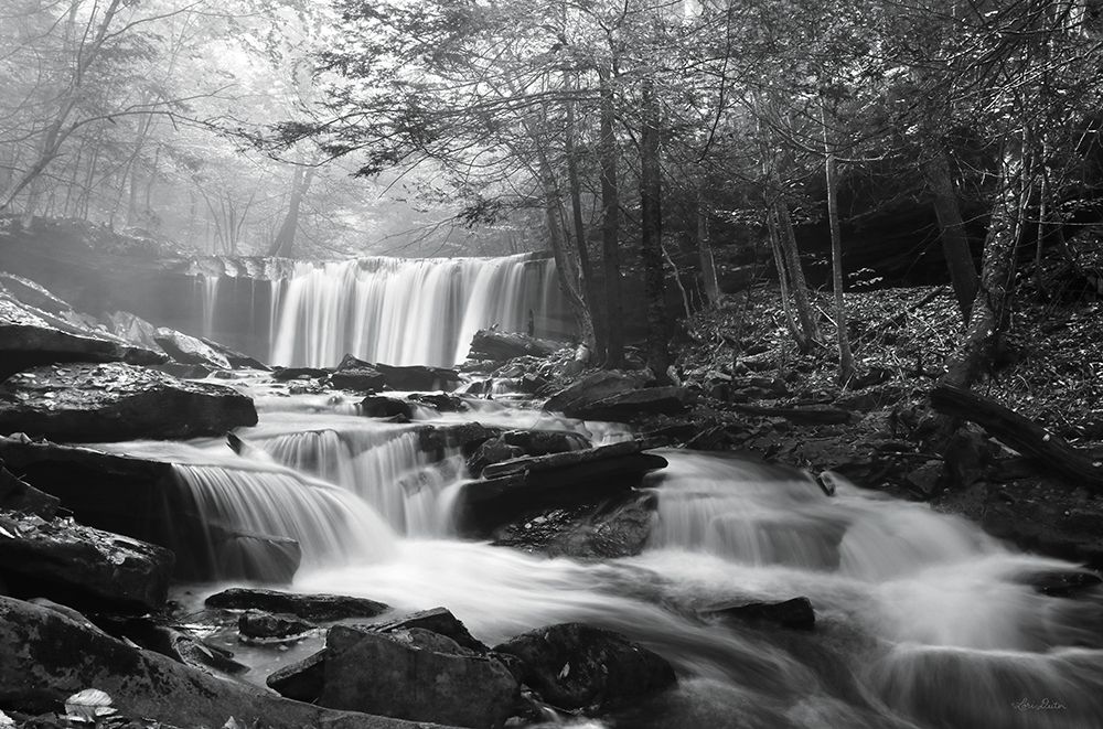 Oneida Falls art print by Lori Deiter for $57.95 CAD