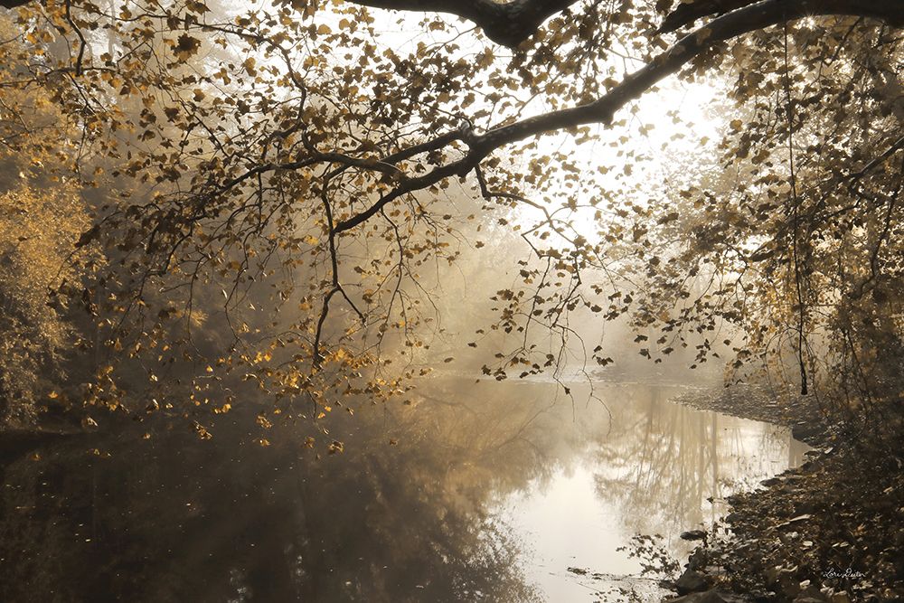Morning Rays at Swatara Creek art print by Lori Deiter for $57.95 CAD