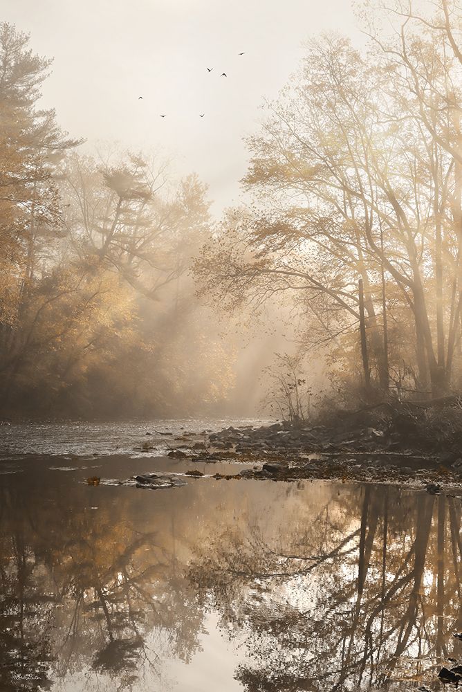 Gold Reflections art print by Lori Deiter for $57.95 CAD