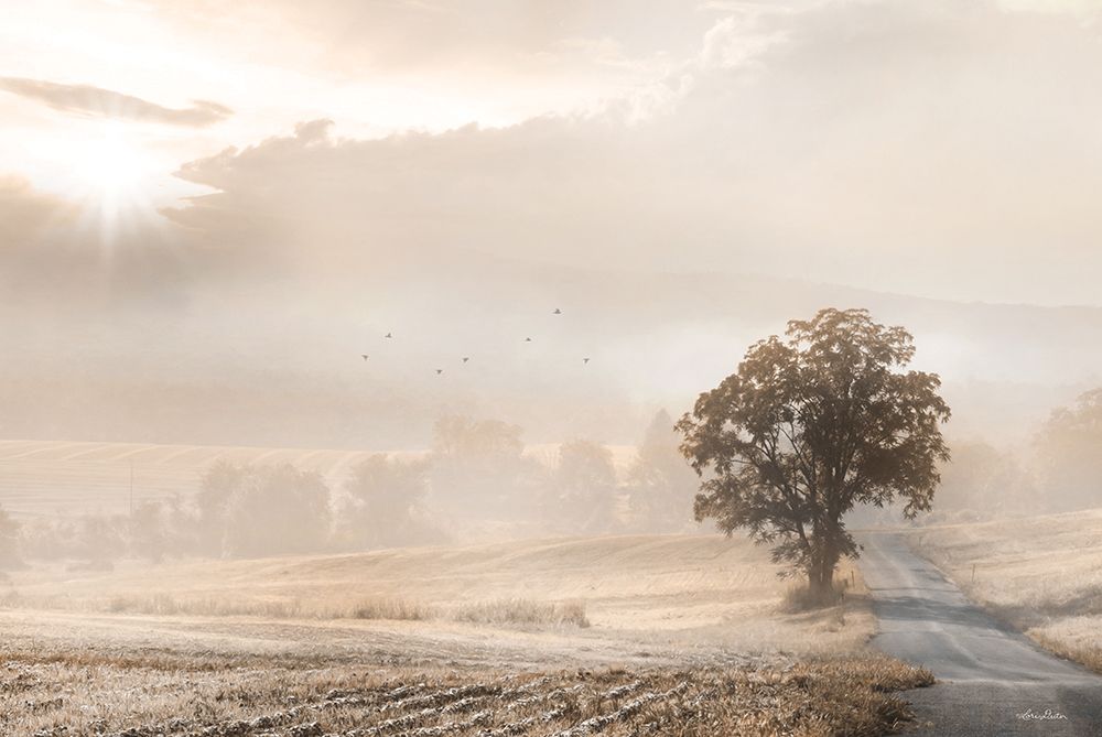 Sepia Foggy Morning art print by Lori Deiter for $57.95 CAD