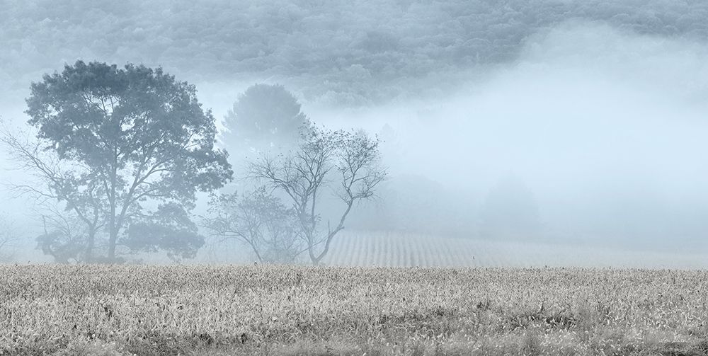 Blue Misty Morning art print by Lori Deiter for $57.95 CAD
