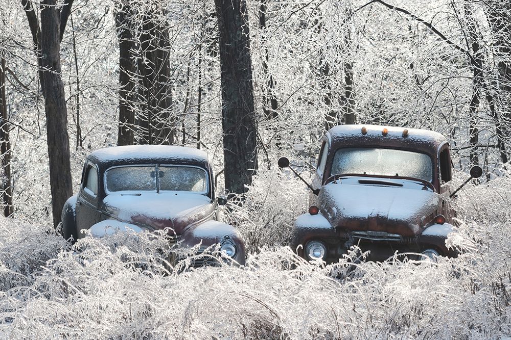 Frozen in Time art print by Lori Deiter for $57.95 CAD