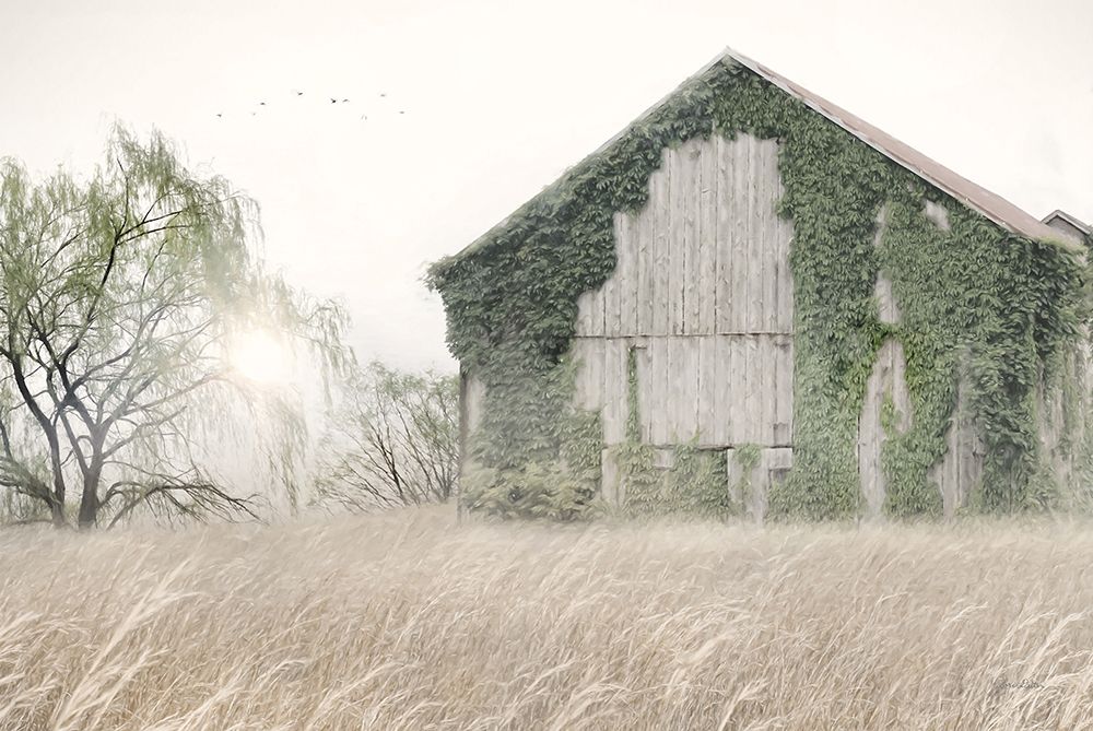 Ivy Barn art print by Lori Deiter for $57.95 CAD
