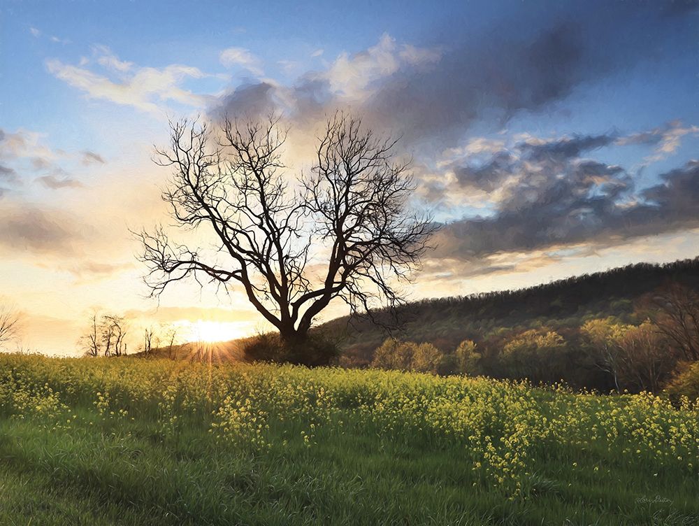 Clark Valley Sunset art print by Lori Deiter for $57.95 CAD