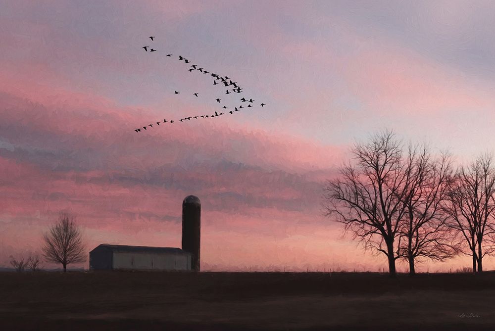 Spring Migration of Snow Geese art print by Lori Deiter for $57.95 CAD