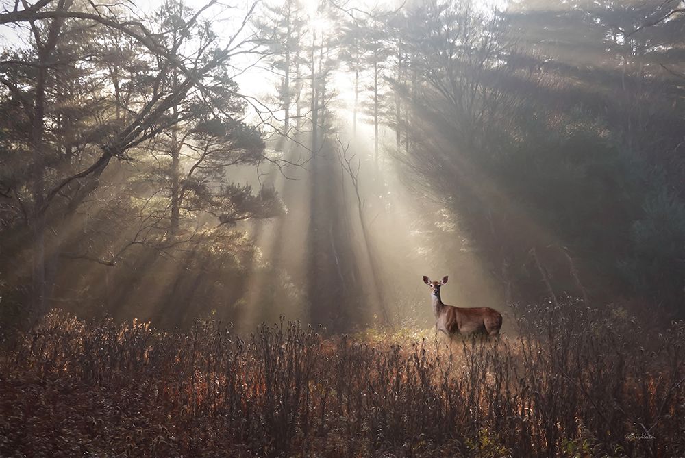 Doe a Deer art print by Lori Deiter for $57.95 CAD
