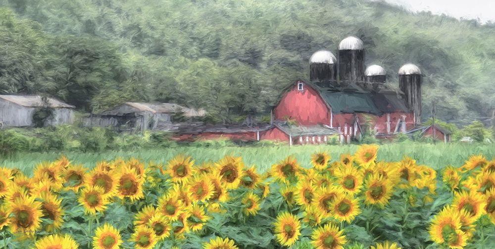 Sunflower Farm art print by Lori Deiter for $57.95 CAD