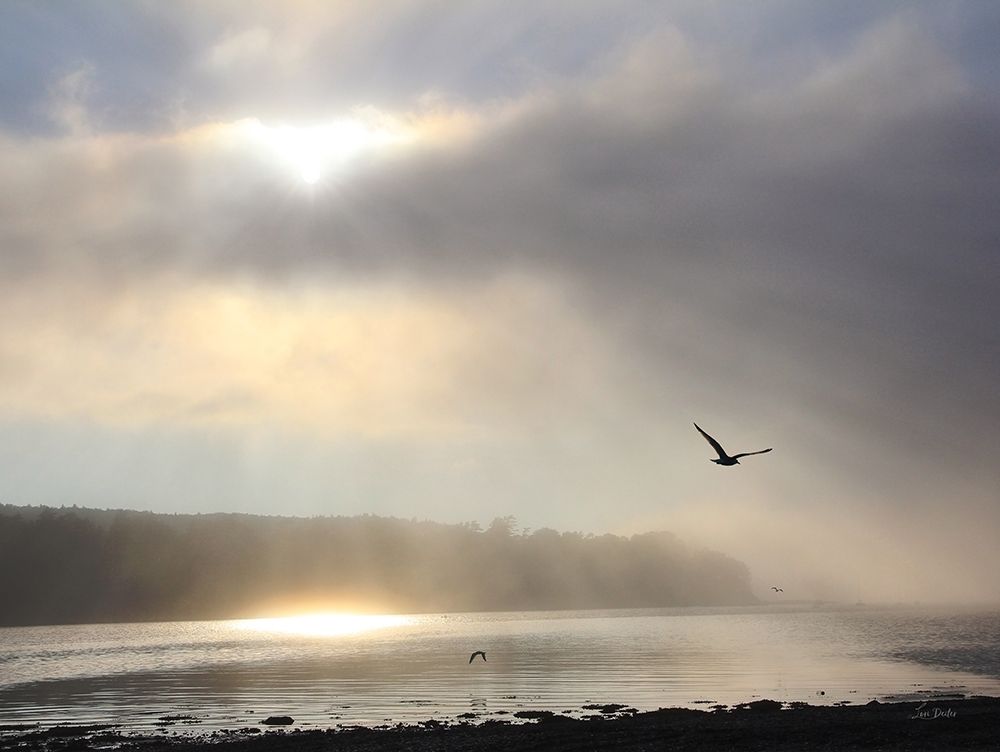 Foggy Bar Harbor art print by Lori Deiter for $57.95 CAD