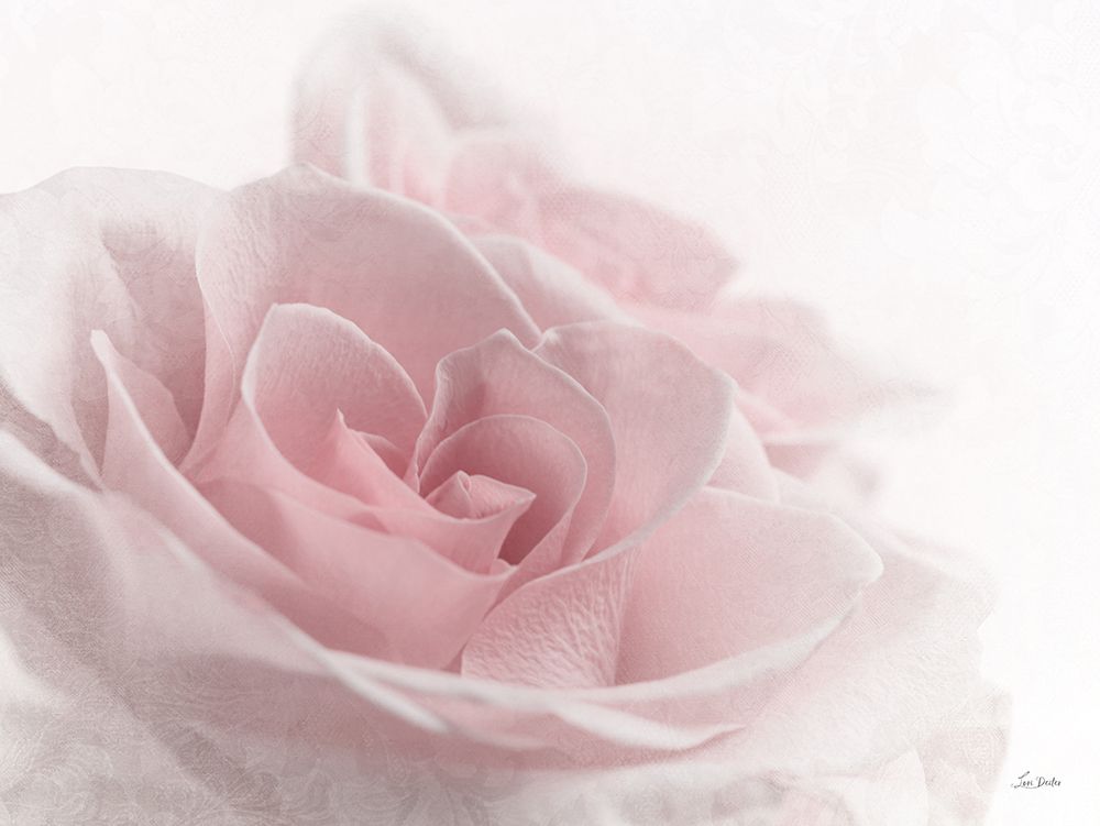 Romantic Rose I art print by Lori Deiter for $57.95 CAD