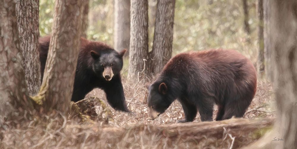 Bear Sighting art print by Lori Deiter for $57.95 CAD