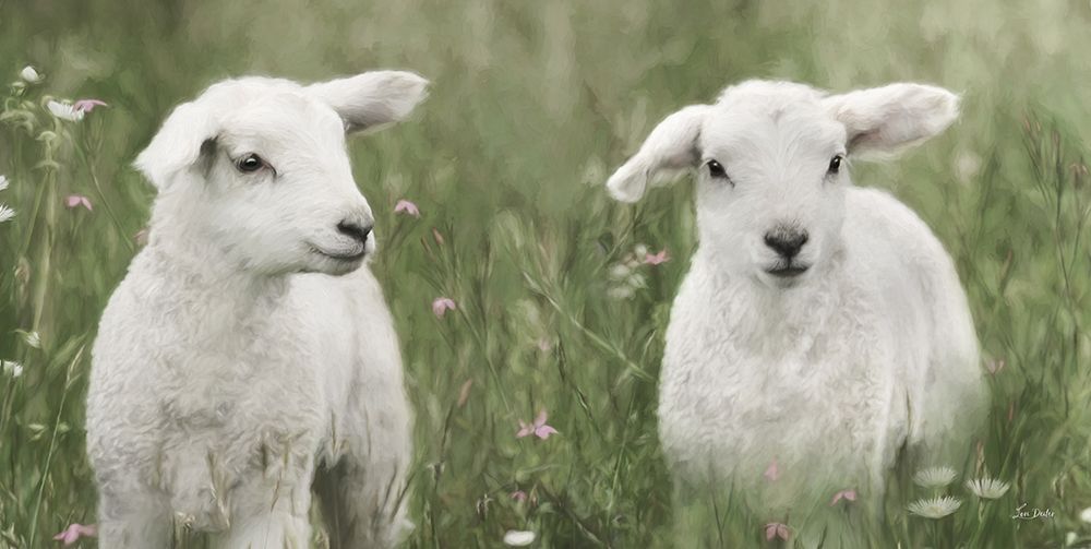 Little Lambs art print by Lori Deiter for $57.95 CAD