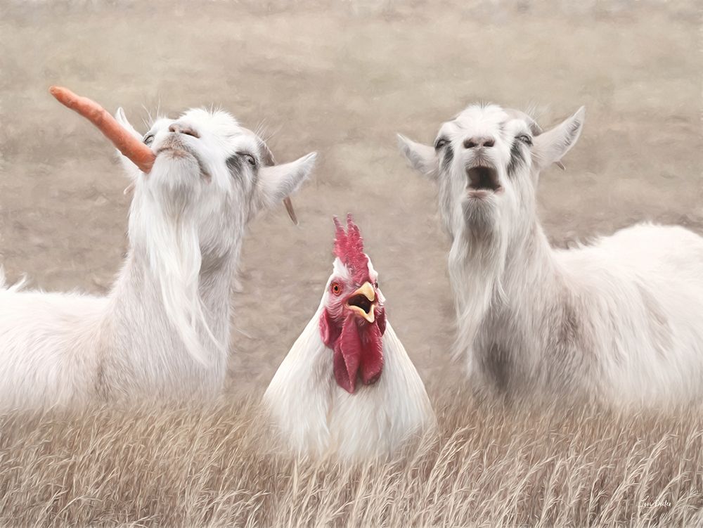 Barnyard Antics art print by Lori Deiter for $57.95 CAD