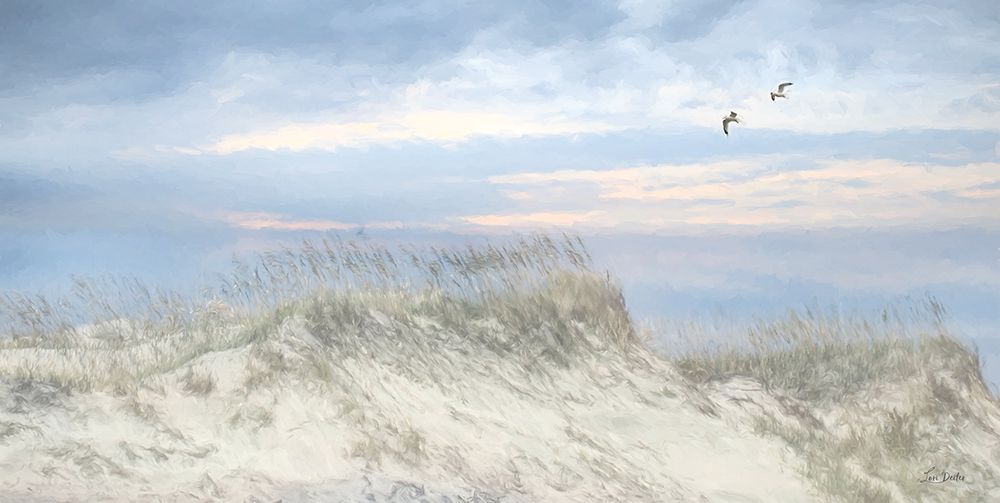 Sea Gulls over the Sand Dunes art print by Lori Deiter for $57.95 CAD