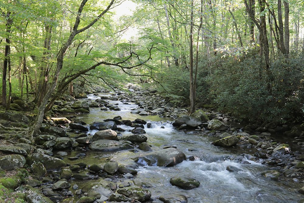 Little Pigeon River art print by Lori Deiter for $57.95 CAD