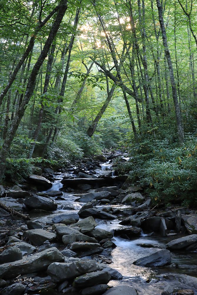 Alum Cave Trail art print by Lori Deiter for $57.95 CAD