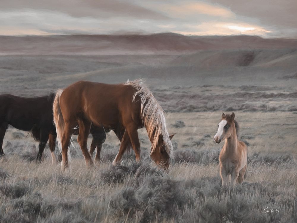 Cody Wild Horses art print by Lori Deiter for $57.95 CAD