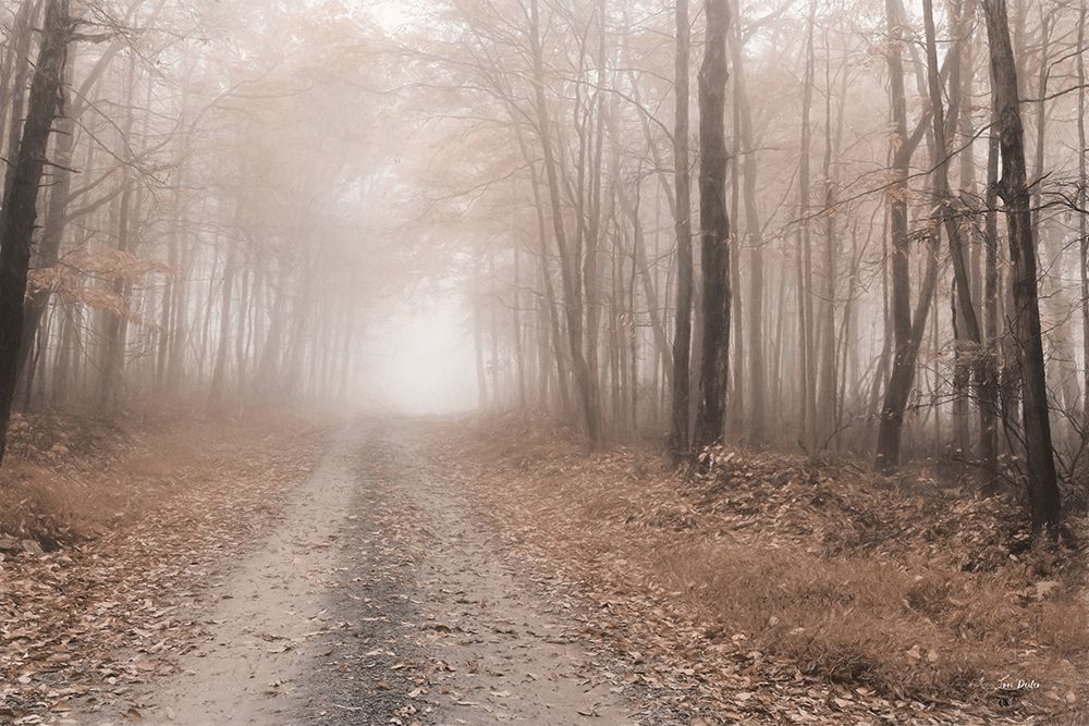 Fallen Leaves art print by Lori Deiter for $57.95 CAD