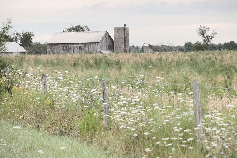 Tucked Away Barn art print by Lori Deiter for $57.95 CAD