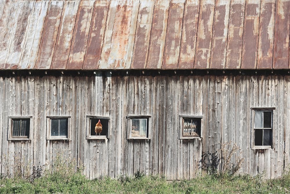 Country Window Decor art print by Lori Deiter for $57.95 CAD