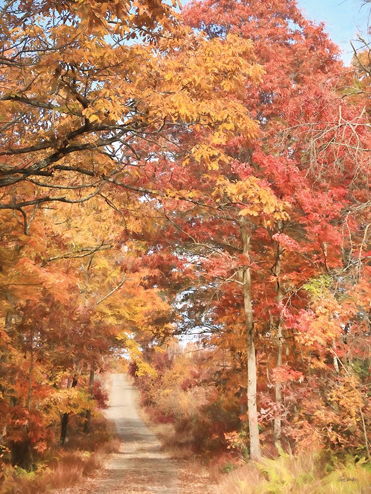Autumn in the Valley I art print by Lori Deiter for $57.95 CAD